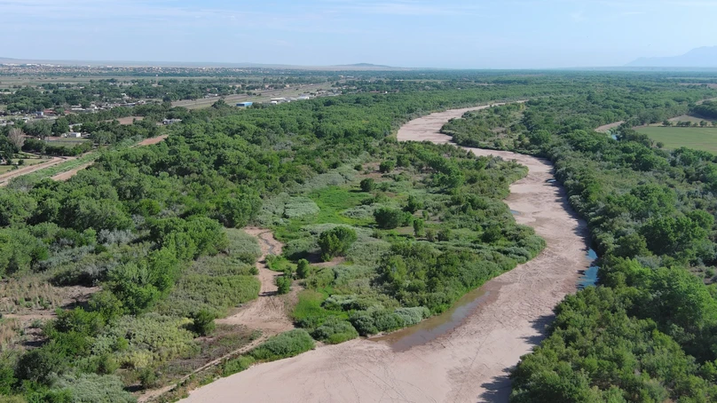 Whoa! Watch a Sneaky Roadrunner Nab a Hummingbird While It’s Feeding